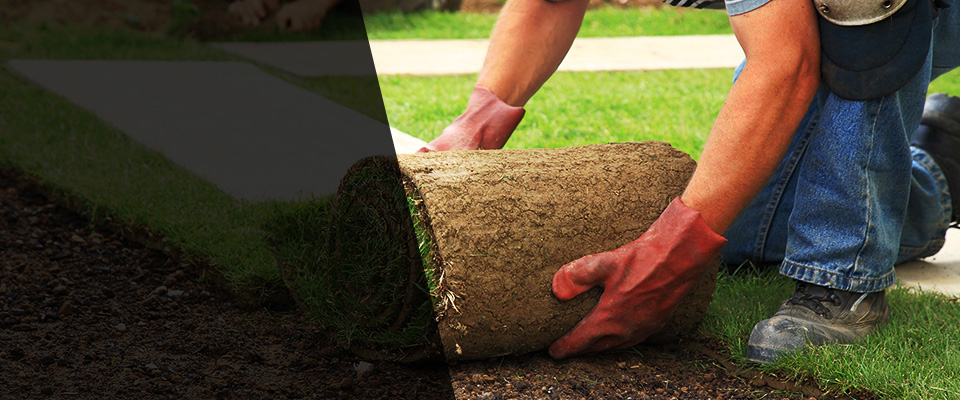 La Porte Landscapers